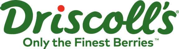 Partner brand 3